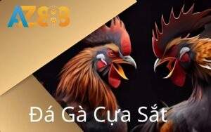 Đá gà cực sắt tại AZ888