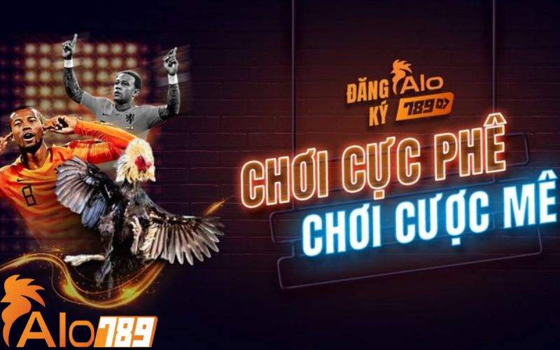 ALO789 Cung Cấp Nhiều Sản Phẩn Đá Gà Hấp Dẫn
