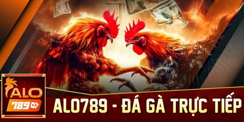 Nhà cái ALO789